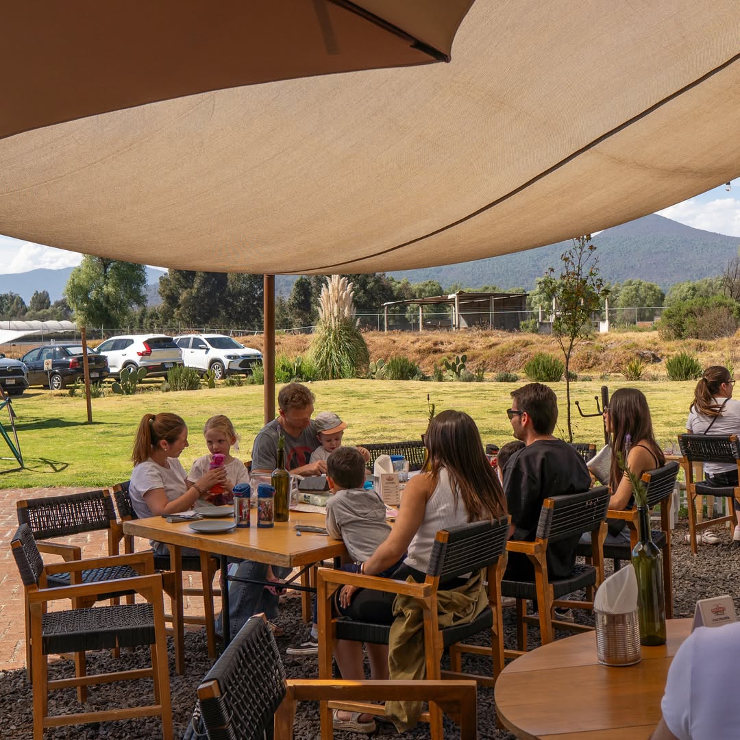Restaurante - Platillos